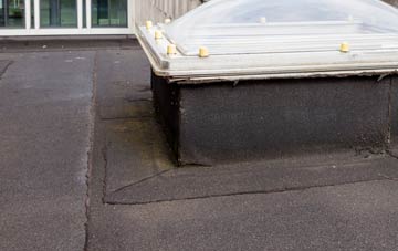 disadvantages of Meal Bank flat roofs