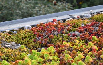 the cost of Meal Bank green roof installation
