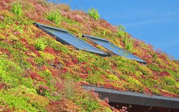 Meal Bank living roof systems