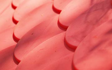 Meal Bank plastic roof costs