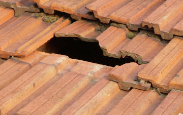 roof repair Meal Bank, Cumbria